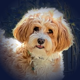 Watch Dog app icon — a golden dog